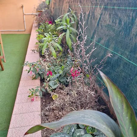 Apartment L Alicante Carre D'or 2 Pieces Terrasse Climatise